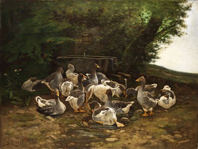 Gray Geese at the Stone Fountain by E. Vié